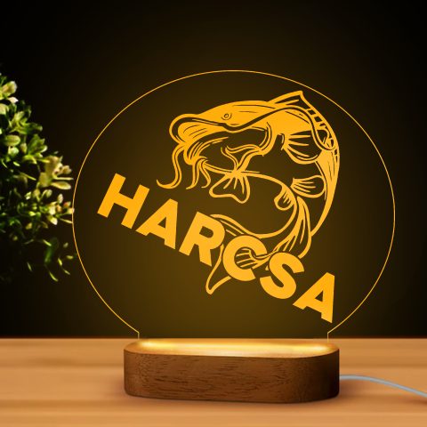 Harcsás LED lámpa