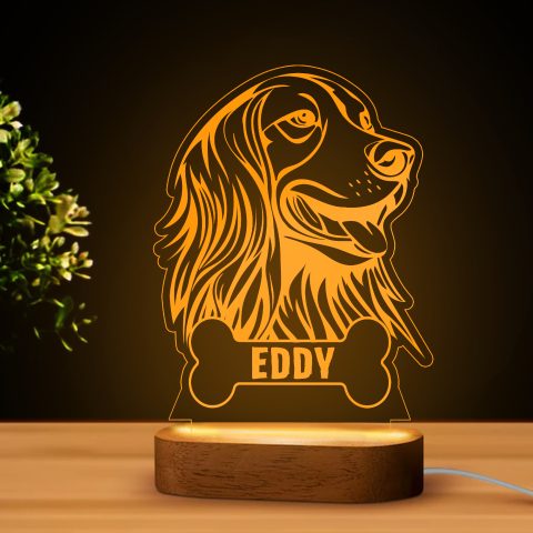Spánieles LED lámpa névvel