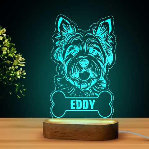 Yorkys LED lámpa névvel