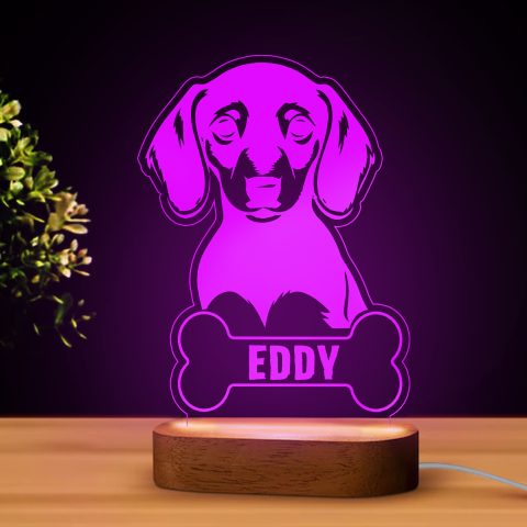 Tacskós LED lámpa névvel 2