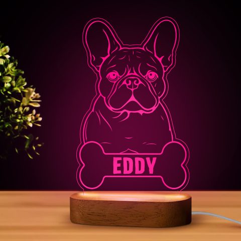 Francia bulldogos LED lámpa névvel